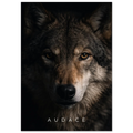 0a260644-af75-463f-a042-fd31e60fe9d1