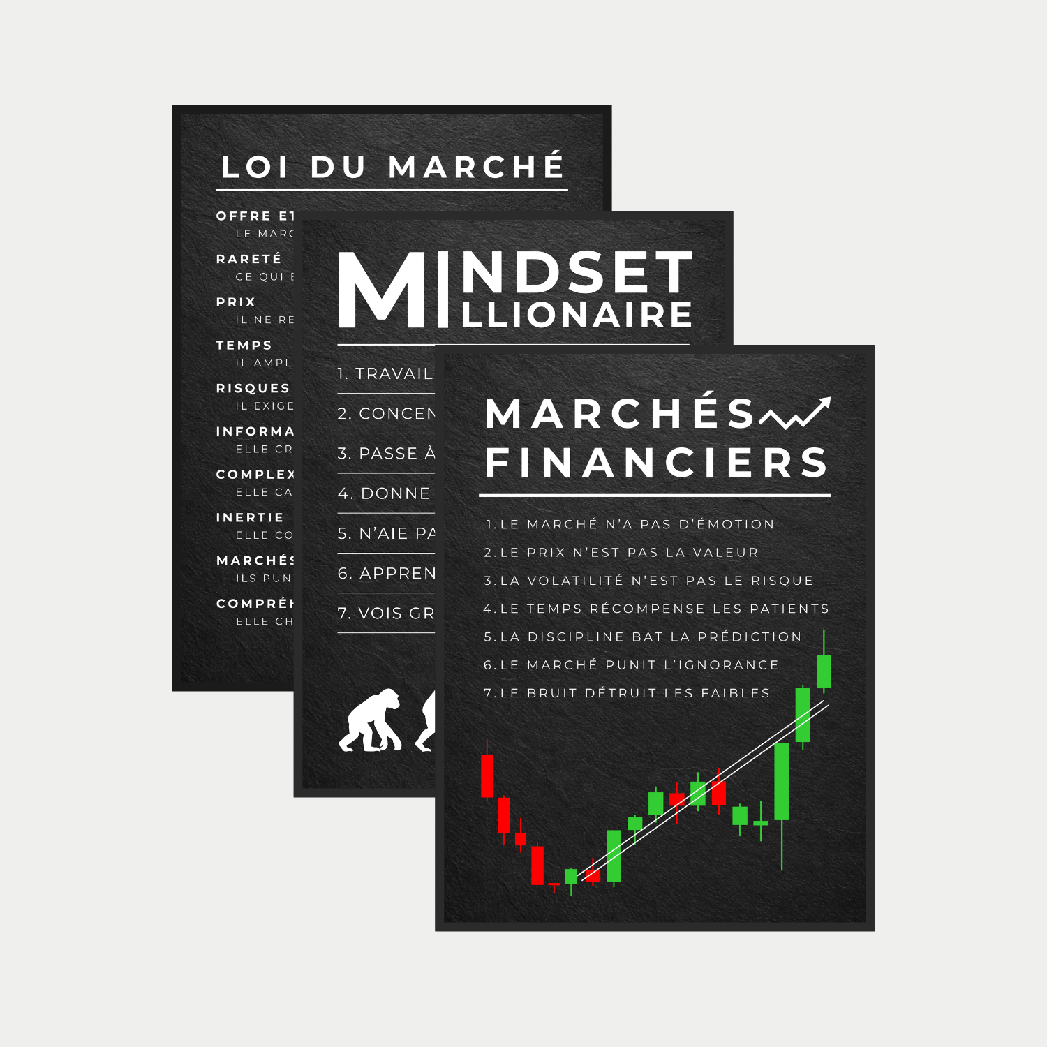 PACK 15 / Mindset mixte