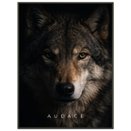 b3c774a2-25eb-4a23-acb8-e109c1e0464a