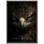 d3f35842-0425-4253-9b0a-96de96268c94